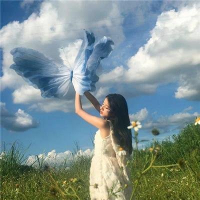 蔷薇处处香